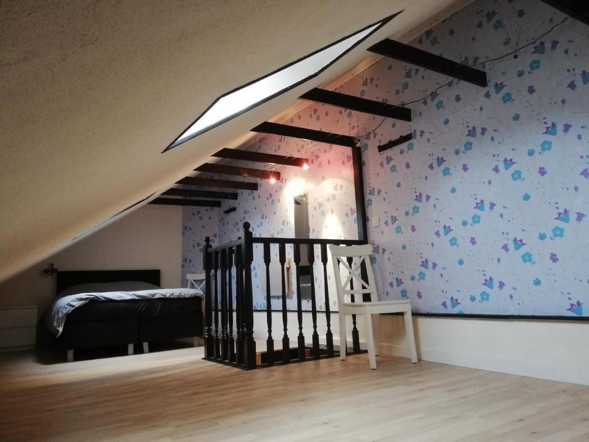 Maison Camaret Sur Mer エクステリア 写真